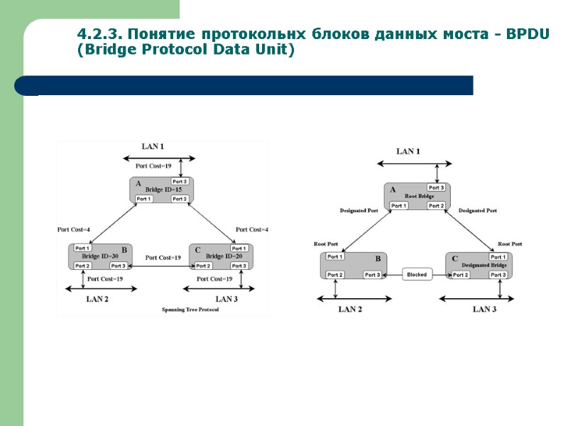 4.2.3. Понятие протокольнх блоков данных моста - BPDU (Bridge Protocol Data Unit)